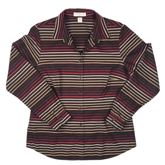 Coldwater Creek Tops - 🎈SALE Coldwater Creek Classic Striped Blouse Size S No Iron Fitted Autumn Fall